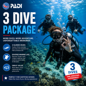 3 dive package