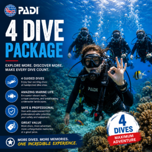 4 dive package
