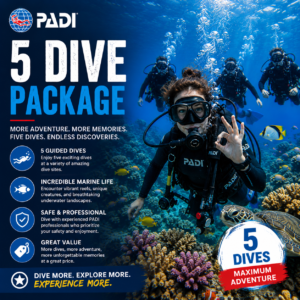 5 Dive Package