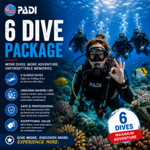 6 Dive Package