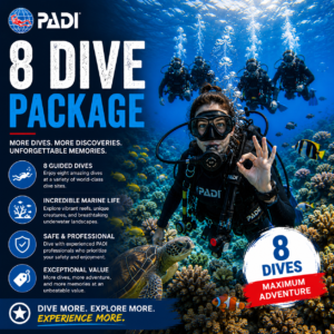 8 Dive Package