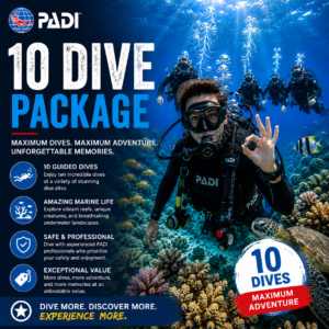 10 Dive Package