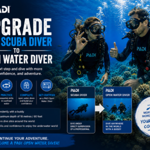 Upgrade PADI scuba diver to open water diver