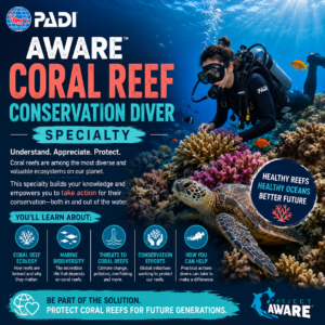 PADI Aware coral reef conservation diver specialty