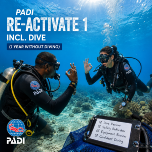 PADI Re-activate 1 incl. Dive (1 year without diving)